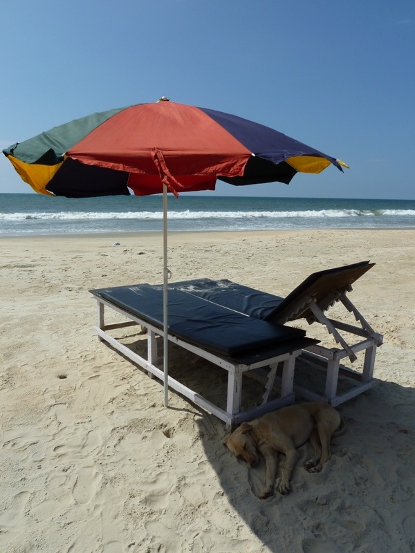 unser Liegennachbar... :) , Varca Beach (Goa)