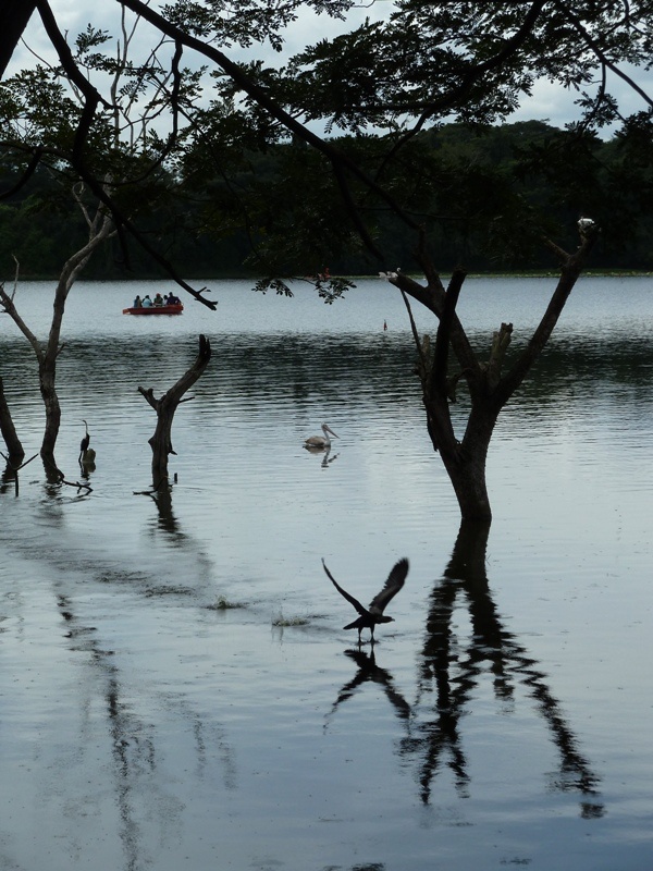 Impression vom Naranji Lake Nature Park