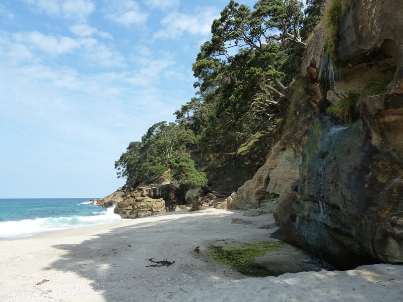 Wanderung an der Kueste entlang zu einsamen Straenden (Start bei Waihi Beach)