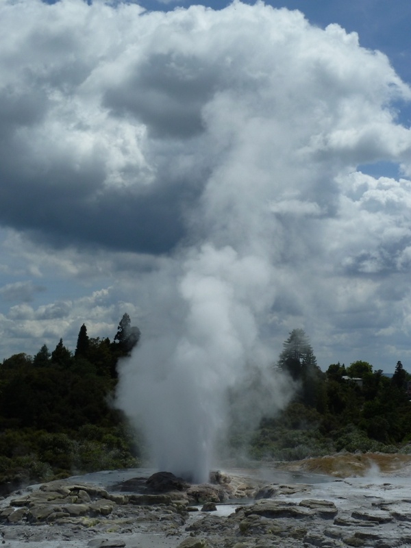 Geysire bei "Te Puia", Rotorua