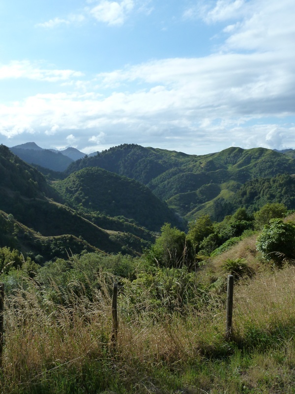 Fahrt von Whakatane bis Gisborne, eine tolle Landschaft! (kommt am Foto bei Weitem nicht...)