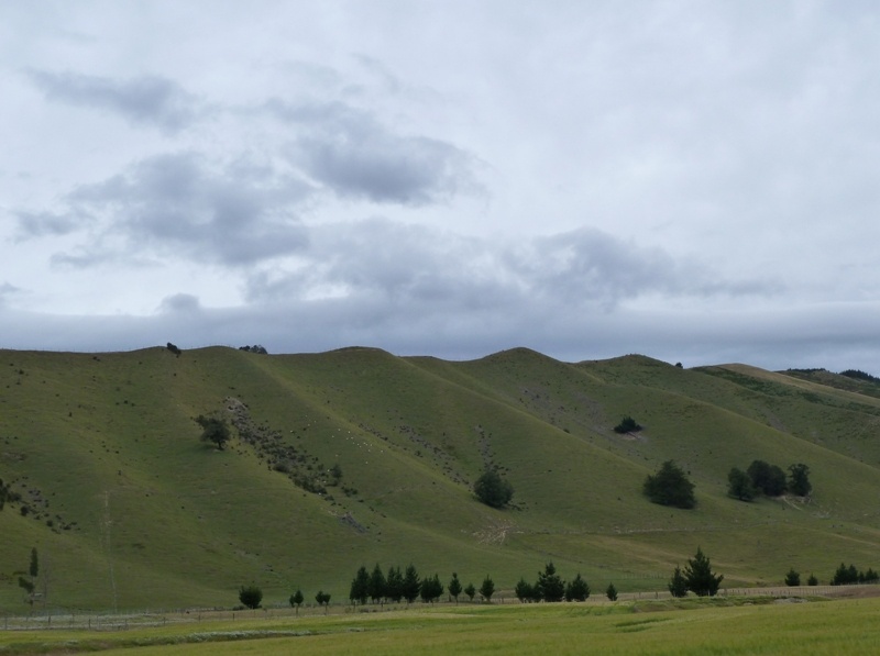 Weiterfahrt nach St. Arnaud zum Nelson Lake National Park