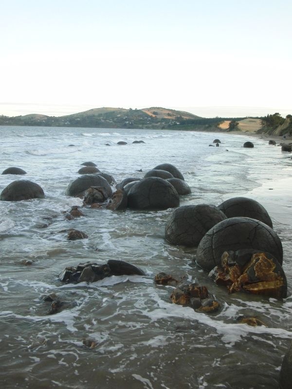 die "Boulders" bei Moeraki