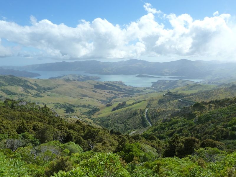 Ausblick auf "Akaroa Harbour" von unserem Schlafplatzerl aus :), Banks Peninsula