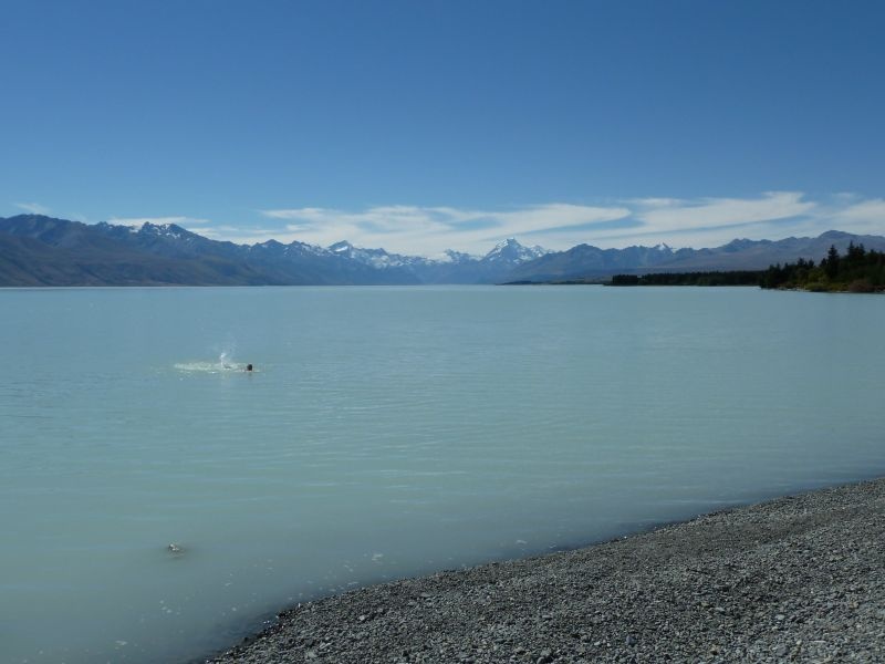 ...zumindest einer hat sich ins kalte Wasser getraut *gg*, Lake Pukaki