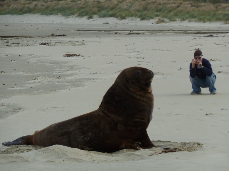 ...unsere "Fotomodelle" ;) , Cannibal Bay an der Catlins Coast