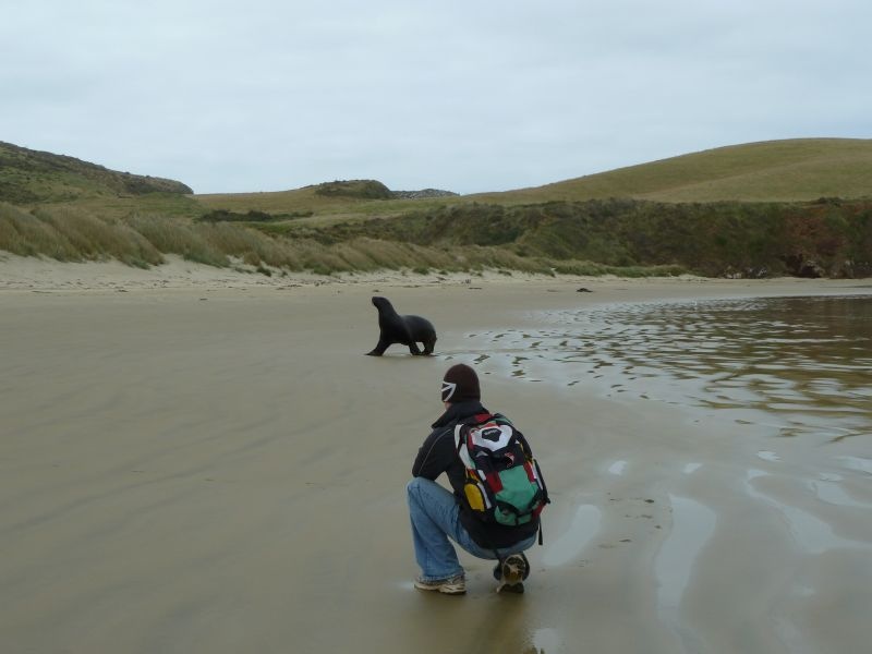 ...zuerst muss aber mal der Weg vom Meer ans Schlafplatzerl zurueckgelegt werden ;), Surat Bay an der Catlins Coast