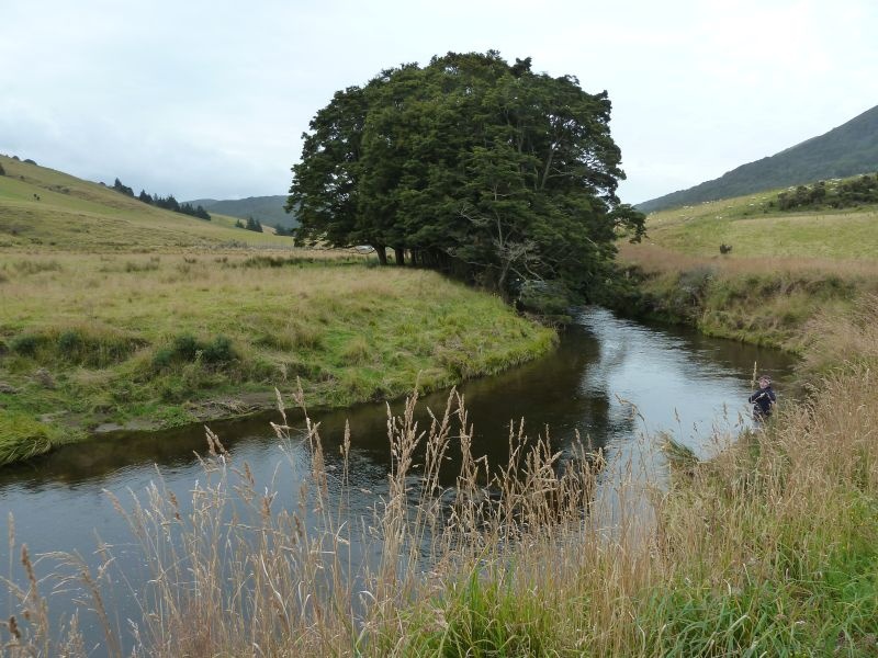 Fischen am Catlins River (die fette Forelle ist leider wieder abgesprungen...), "The Wisp" beim Catlins Rainforest Reserve