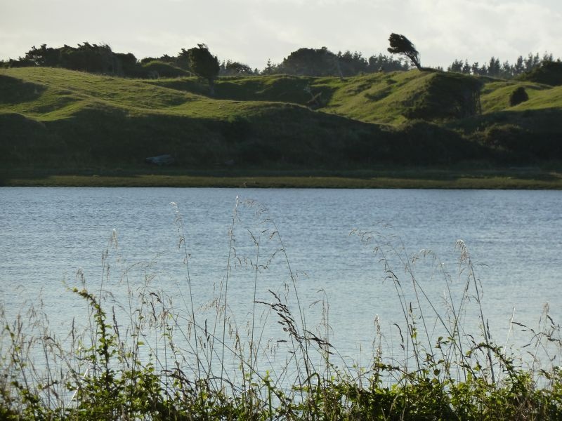 unser Platzerl von gestern Nacht, am Fluss bei Invercargill