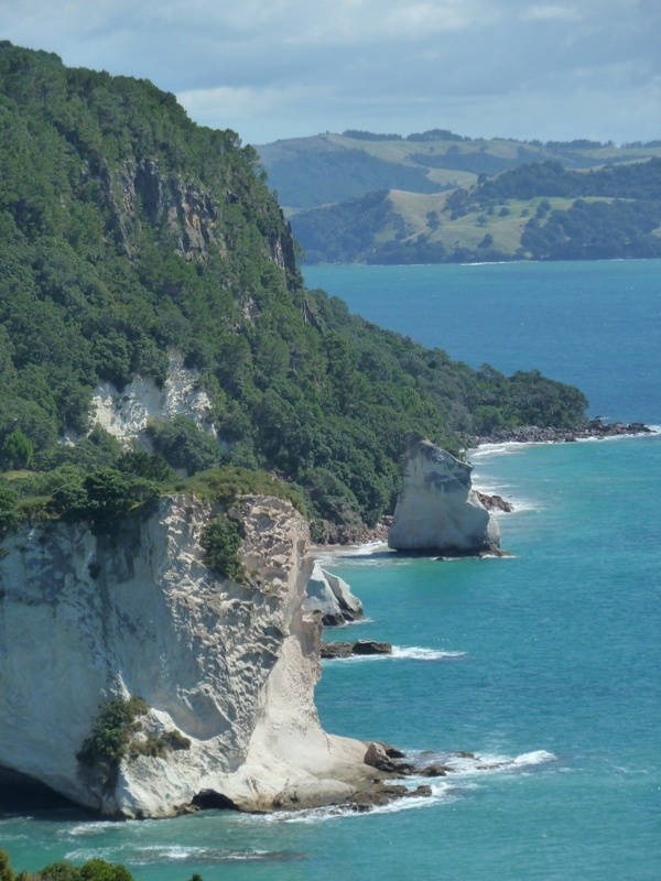 Blick auf "Cathedral Cove Marine Reserve"