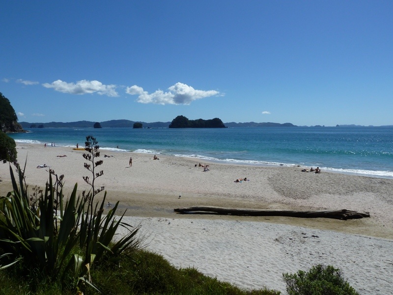 Strand von "Hahei", etwas mehr Leute, dafuer kann man hier tauchen