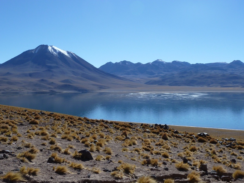 Laguna Miscanti auf 4.300 Meter