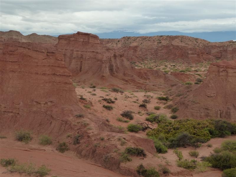 bei trueben Wetter durch tiefrote Landschaft